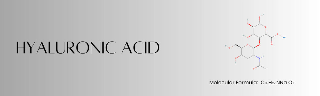 Hyaluronic_acid_structure_C_H_NNaO_hydrating_molecule_attracting_moisture_to_skin_for_plumper_smoother_texture_in_Forganica_hydrating_serums.