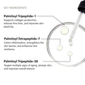 Peptide Repair Serum ingredients explained — Matrixyl 3000, Matrixyl Synthe 6