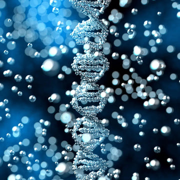 molecular science behind the formula banner image